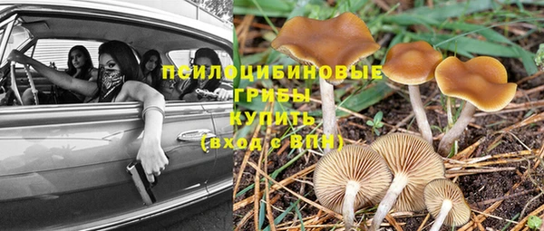 гидропоника Аркадак