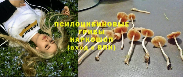 прущая мука Арсеньев