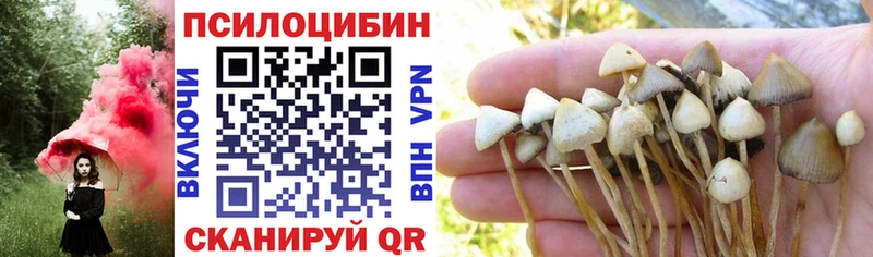 маркетплейс Telegram  Валдай  Псилоцибиновые грибы GOLDEN TEACHER  где купить наркоту 