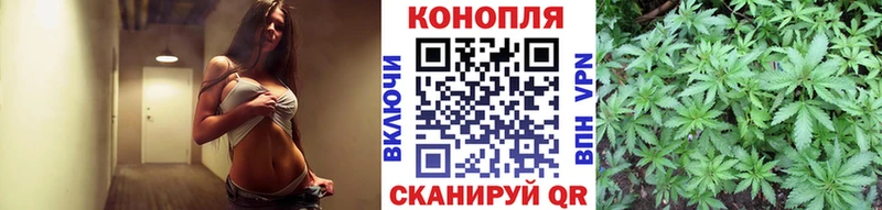 нарко площадка какой сайт  сколько стоит  Валдай  Канабис Bruce Banner 